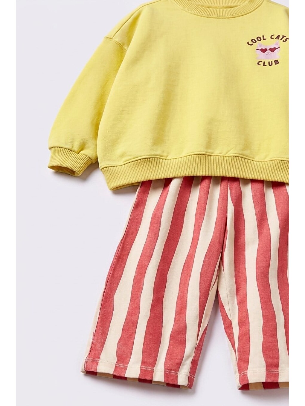 Karışık Çocuk Cool Cats Club Sweatshirt Ve Çizgili Eşofman Takımı-3