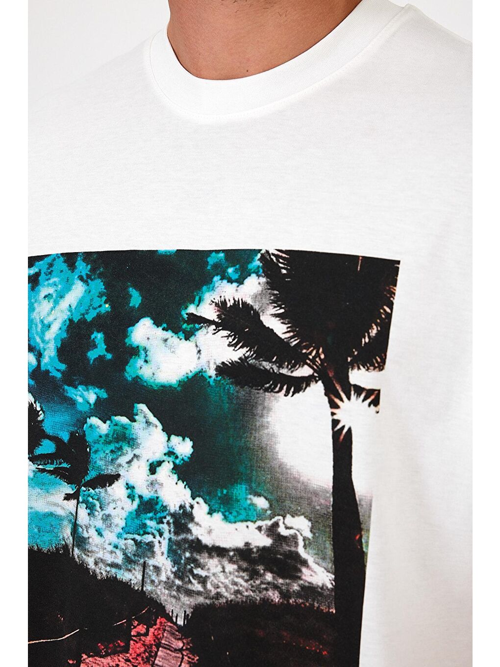 Beyaz Bisiklet Yaka Hawaıı Baskılı Erkek Tişört 7021-2