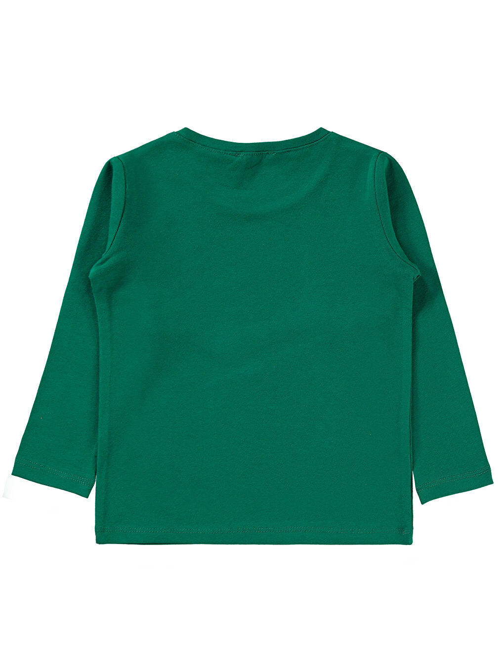 Civil Yeşil Erkek Çocuk Sweatshirt 2-5 Yaş Çam Yeşili