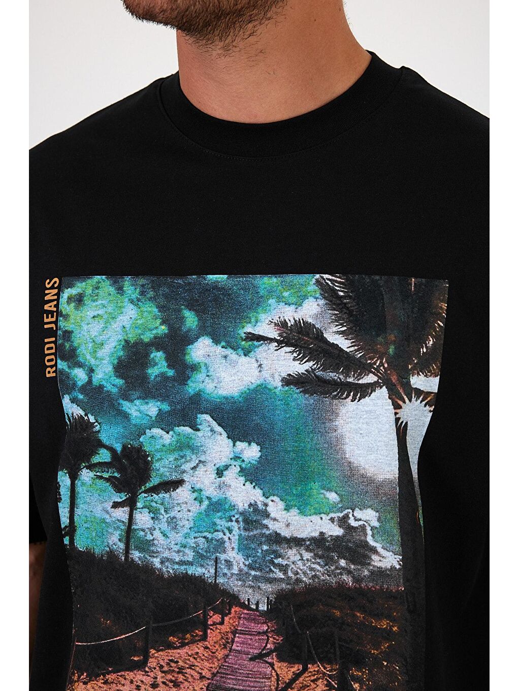 Siyah Bisiklet Yaka Hawaıı Baskılı Erkek Tişört 7021-2