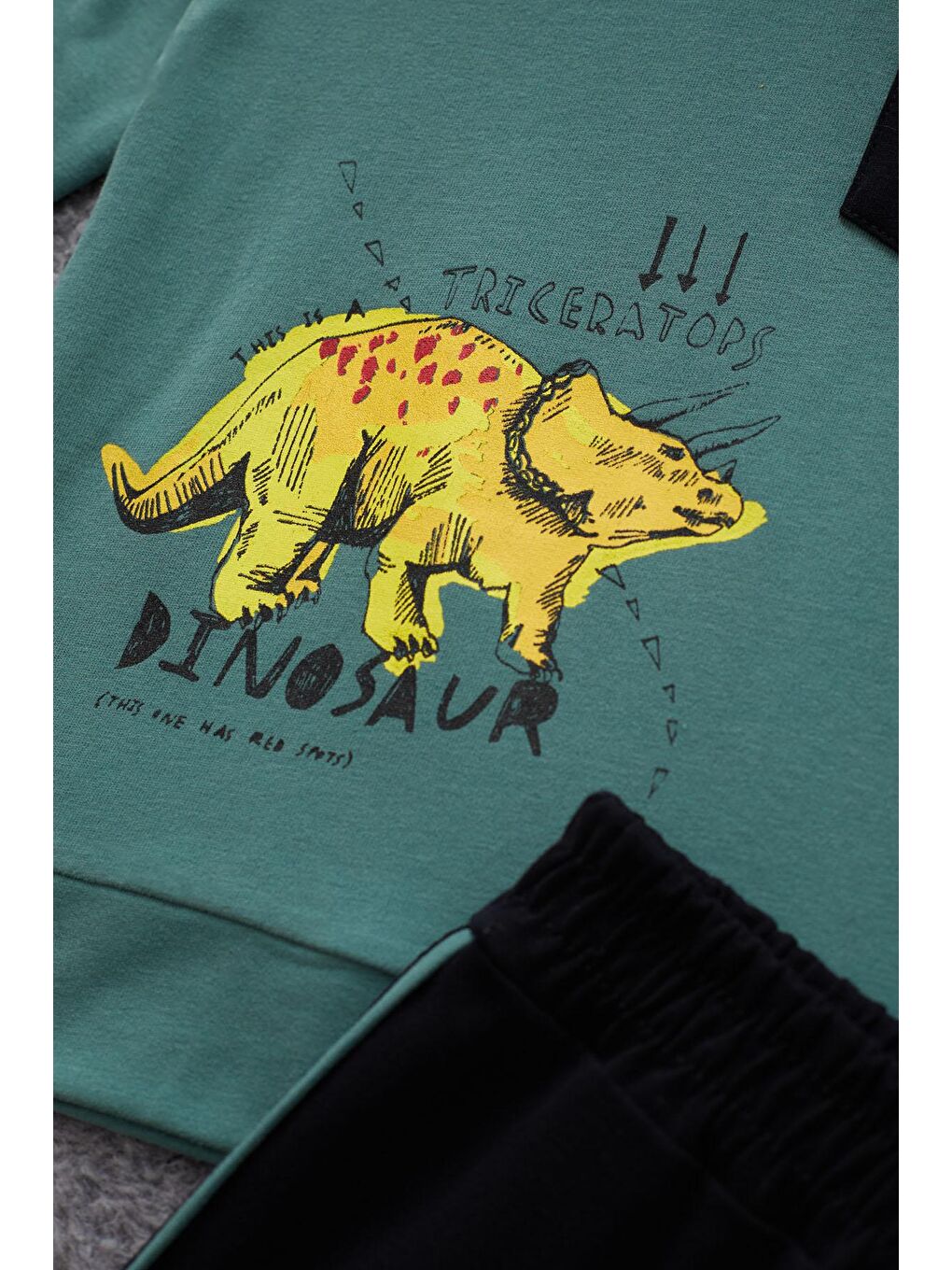 Yeşil Dinozor Baskılı Cepli Erkek Bebek Eşofman Takımı 17321-2