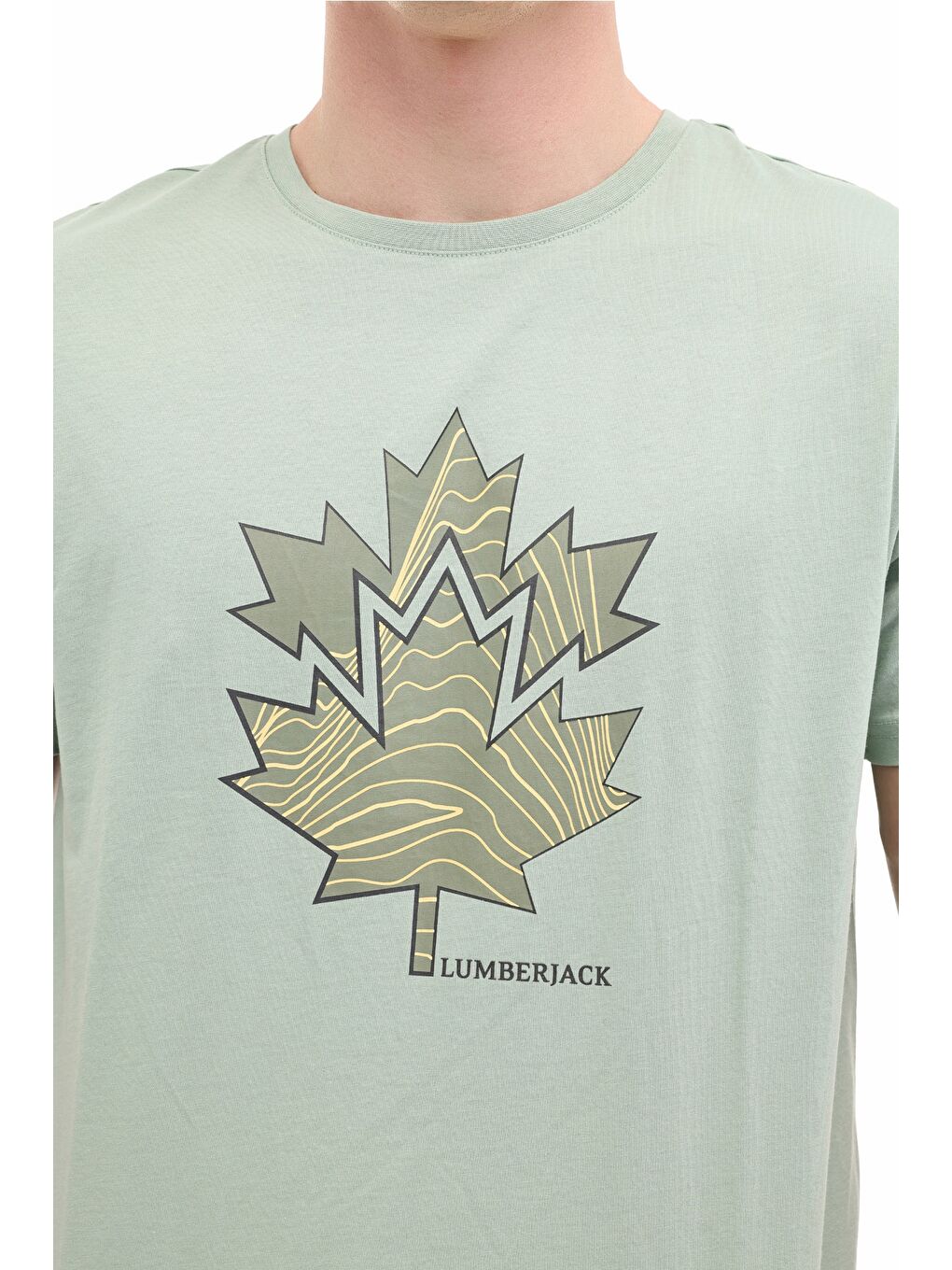 ML BERA 11TRV38 6FX Yeşil Erkek Kısa Kol T-Shirt-3