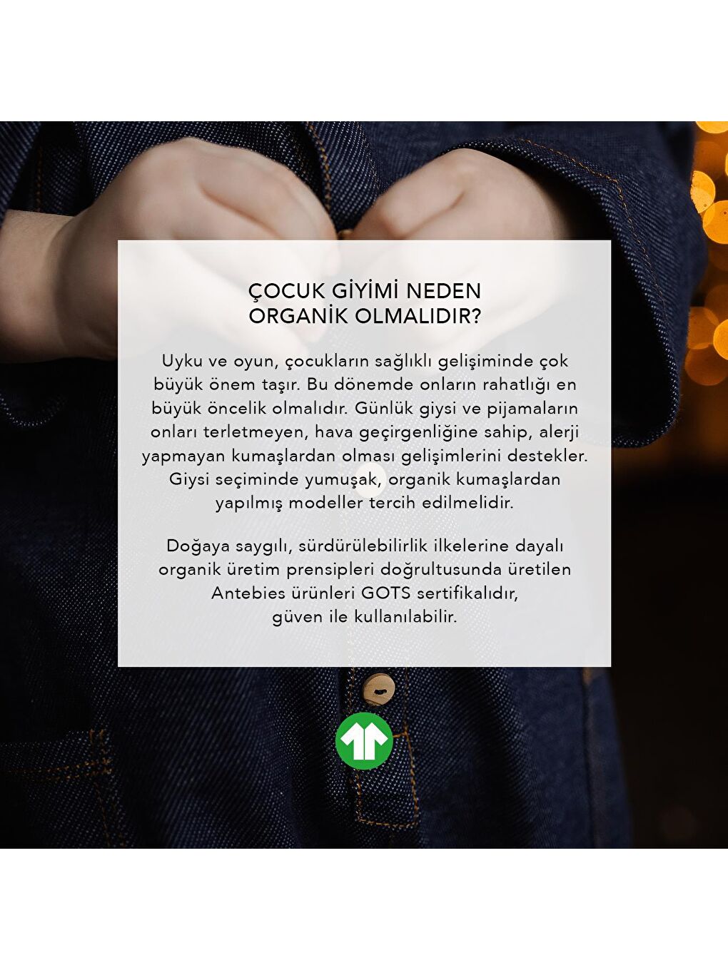 Bej Kadife / Kış Çiçekleri Toka İkili Paket-5