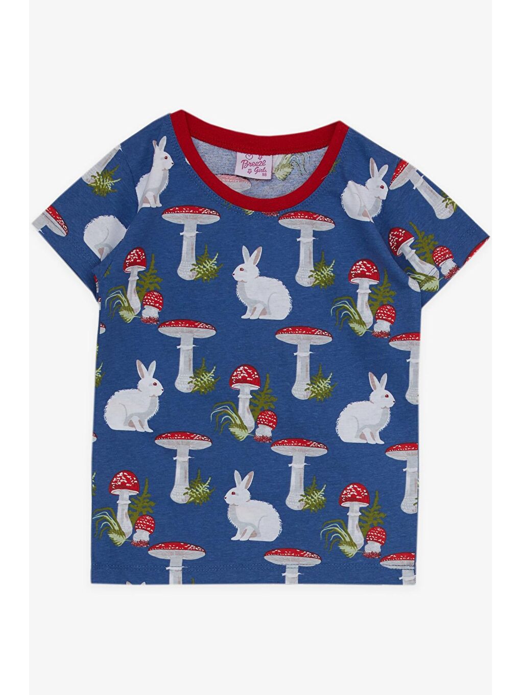 Kız Bebek Pijama Takımı Doğa Temalı Tavşancık Desenli Mavi (9 Ay-1.5 Yaş)-2