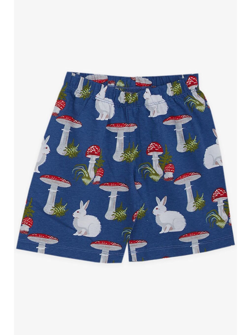 Kız Bebek Pijama Takımı Doğa Temalı Tavşancık Desenli Mavi (9 Ay-1.5 Yaş)-3