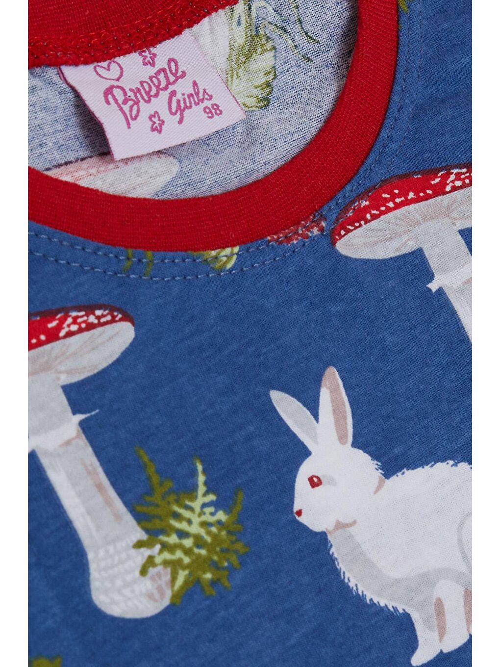 Kız Bebek Pijama Takımı Doğa Temalı Tavşancık Desenli Mavi (9 Ay-1.5 Yaş)-4