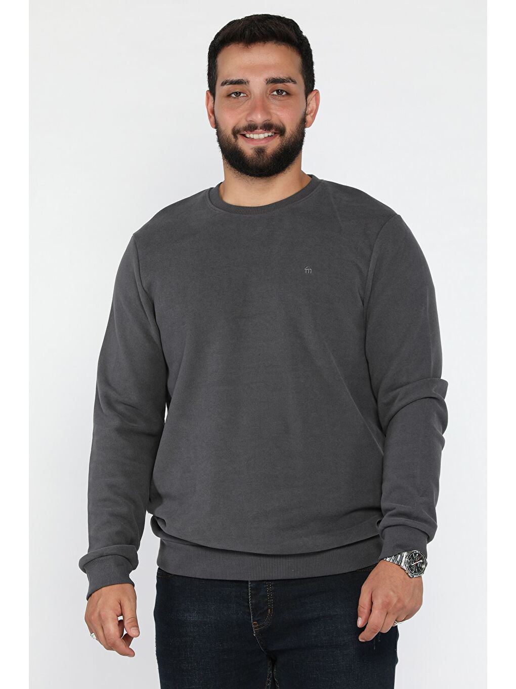 Gri Erkek Bisiklet Yaka Selanik Sweatshirt