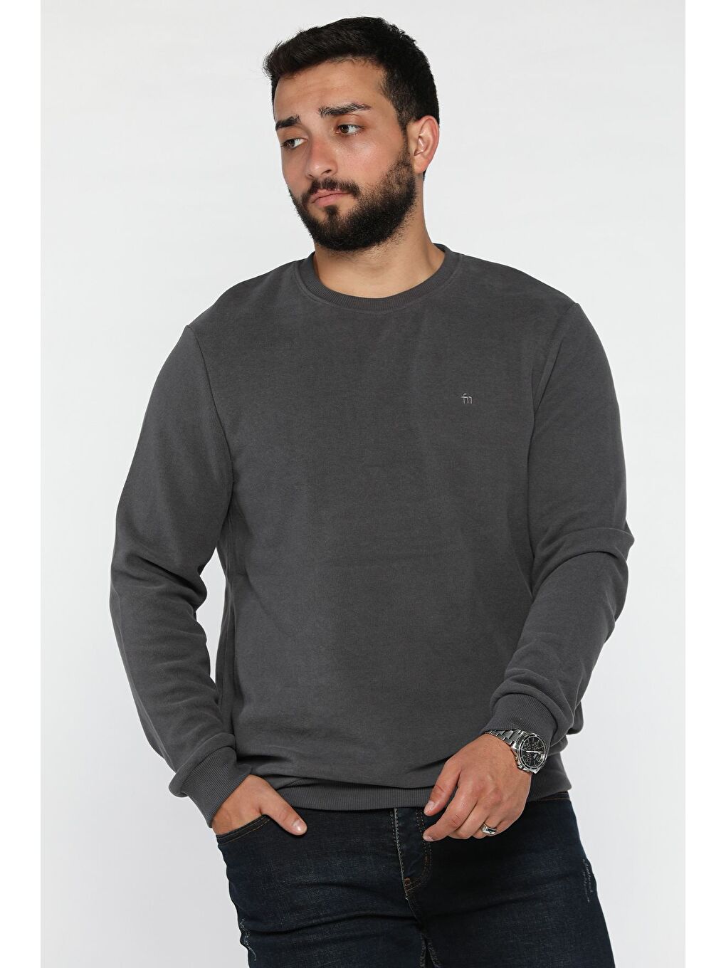 Gri Erkek Bisiklet Yaka Selanik Sweatshirt-1