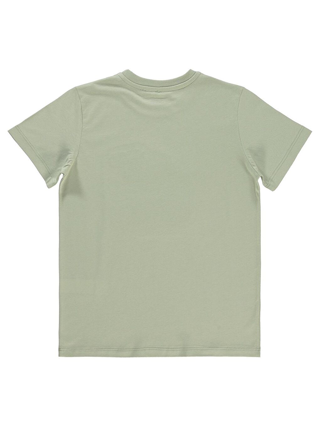 Boys Erkek Çocuk Tişört 10-13 Yaş Açık Yeşil-1