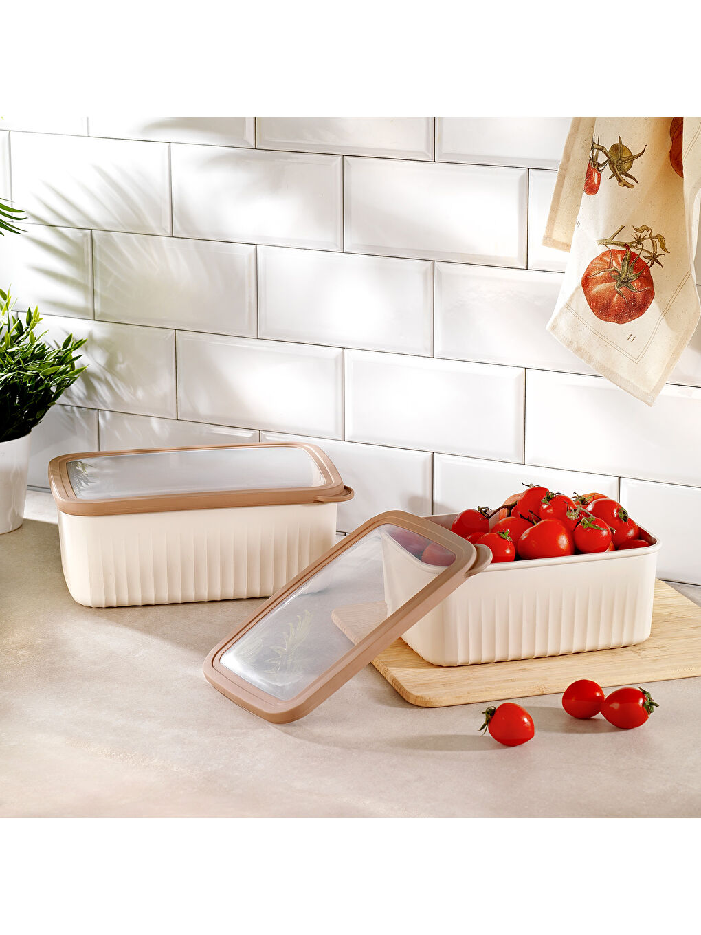 Ekru Ashley 2 lİ Dikdörtgen Derin Saklama Kabı-Krem