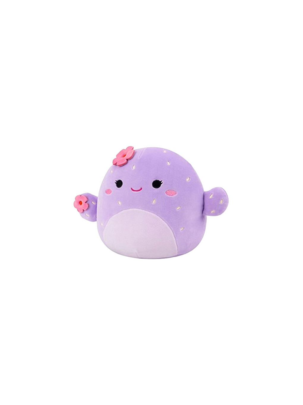 Kaktüs Adrienne 20 Cm Cr08538-1