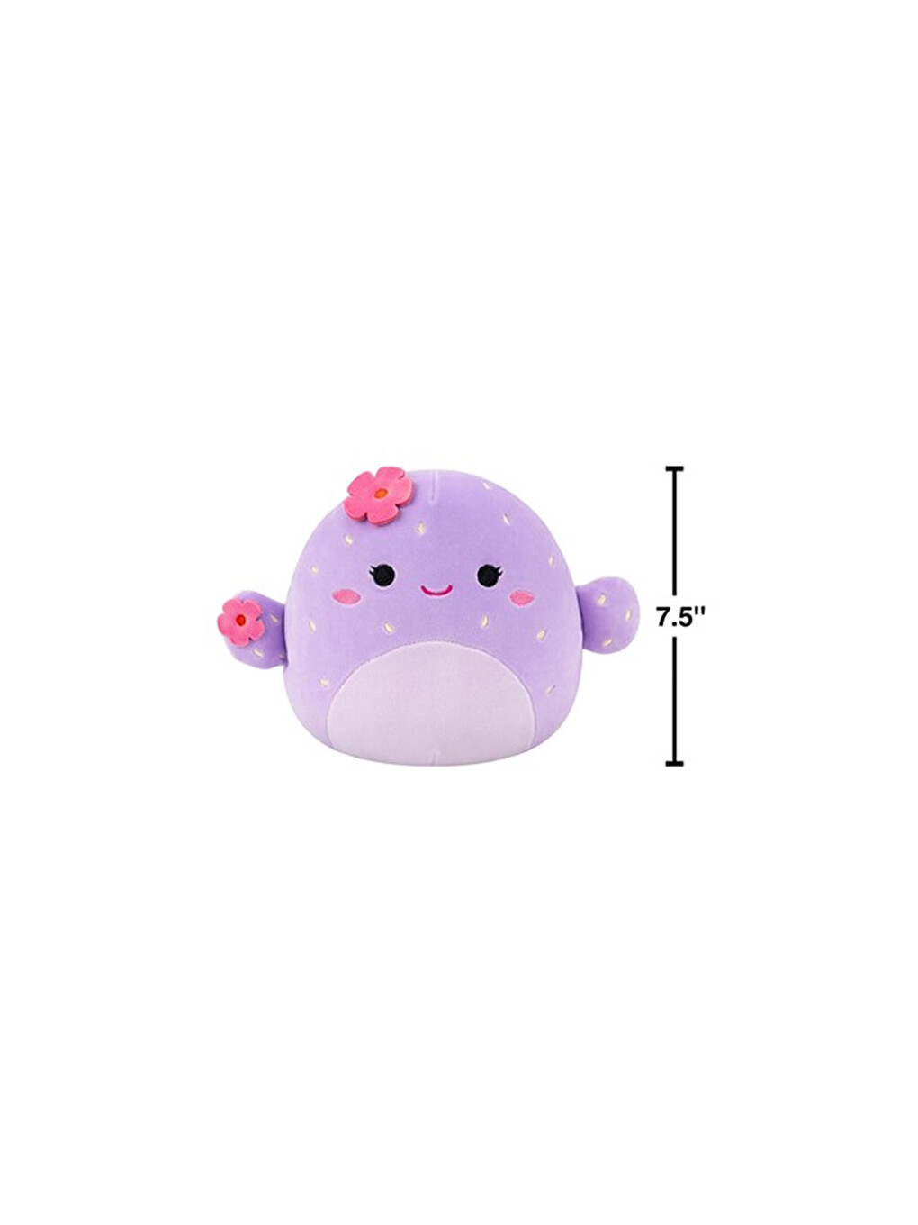 Kaktüs Adrienne 20 Cm Cr08538-4