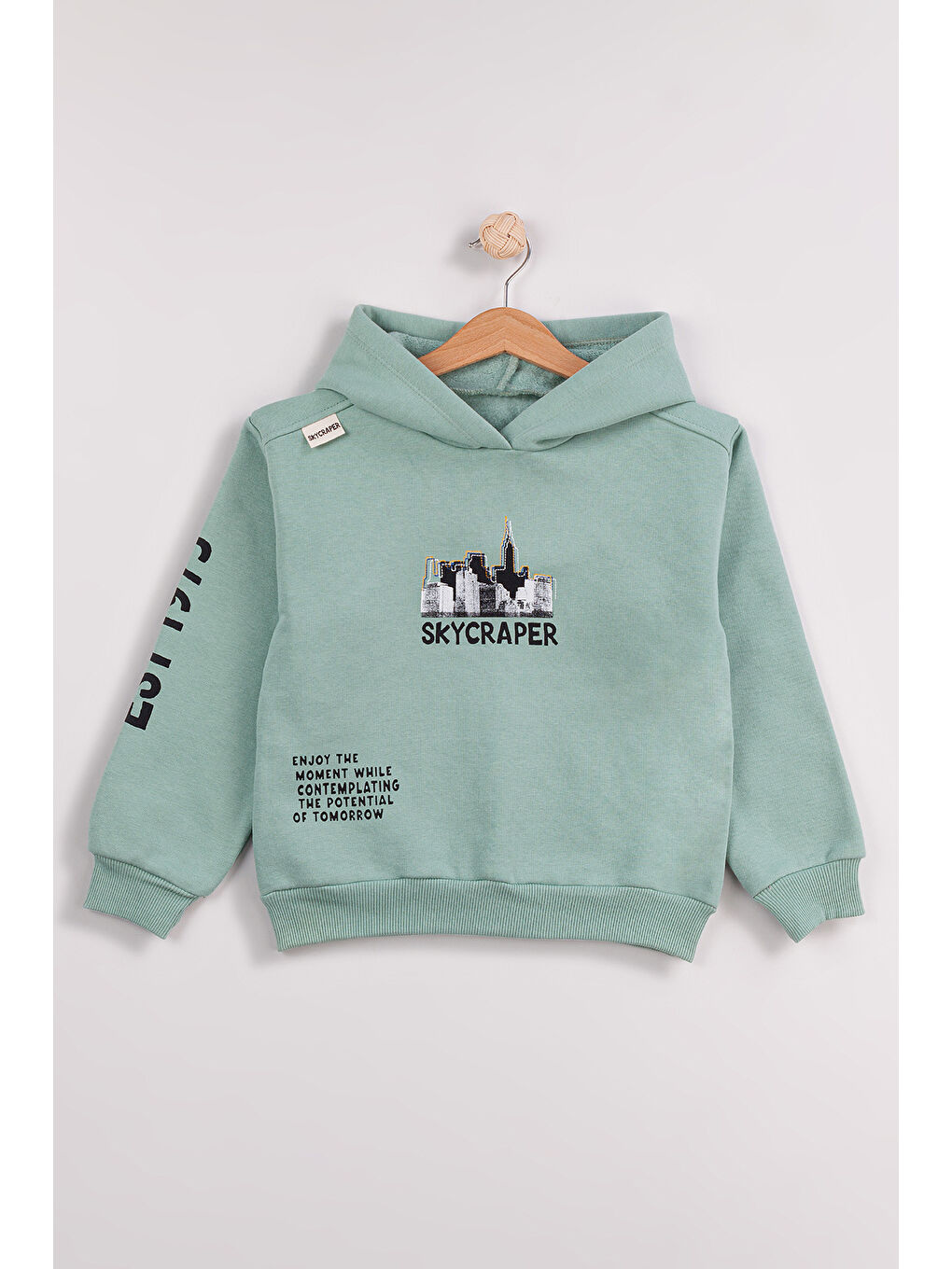 Yeşil Erkek Çocuk 2'li Paket Basic Sweatshirt-2