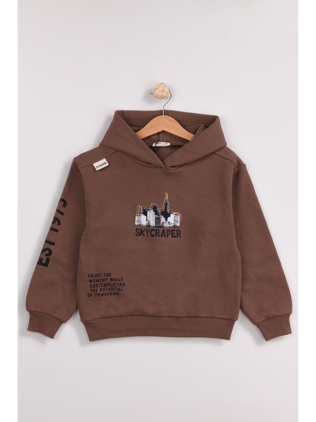 Kahverengi Erkek Çocuk 2'li Paket Basic Sweatshirt-5