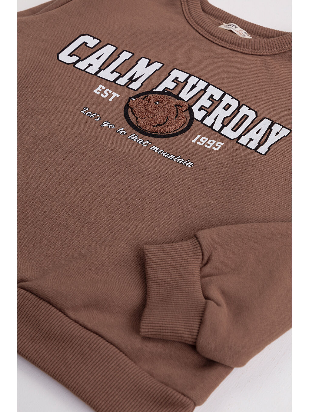 Gri Erkek Çocuk 2'li Paket Basic Sweatshirt-4