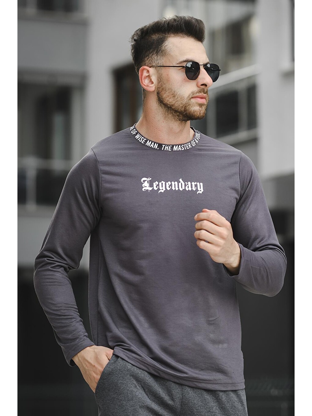 Gri Yakası Baskılı Slim Fit Elastanlı Sıfır Yaka Erkek Sweatshirt-1