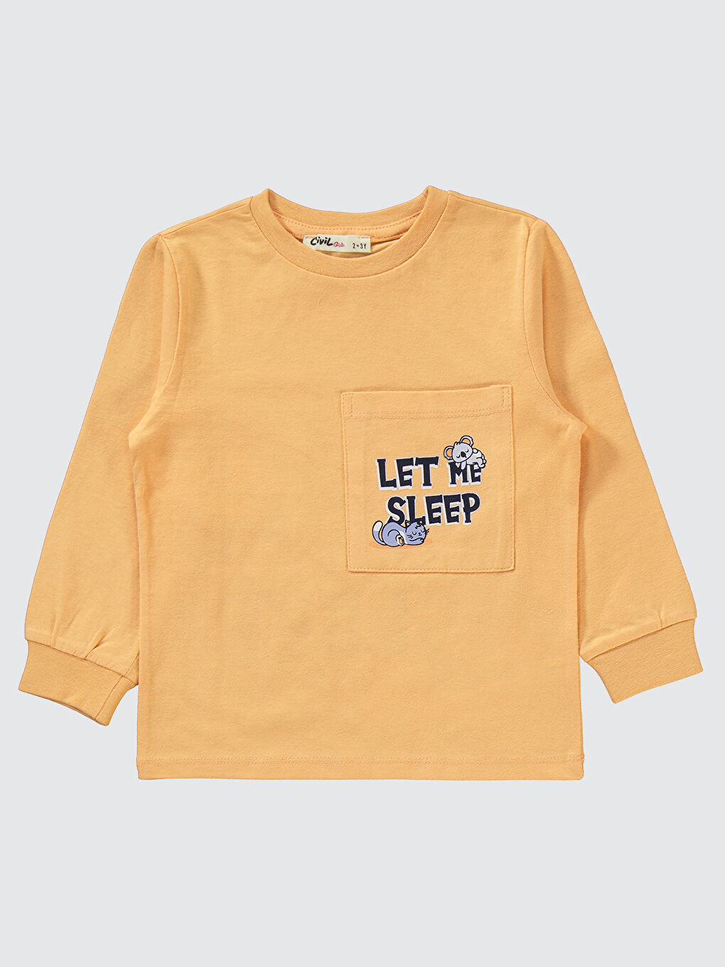 Pembe Girls Kız Çocuk Pijama Takımı 2-5 Yaş Yumuşak Şeftali-2