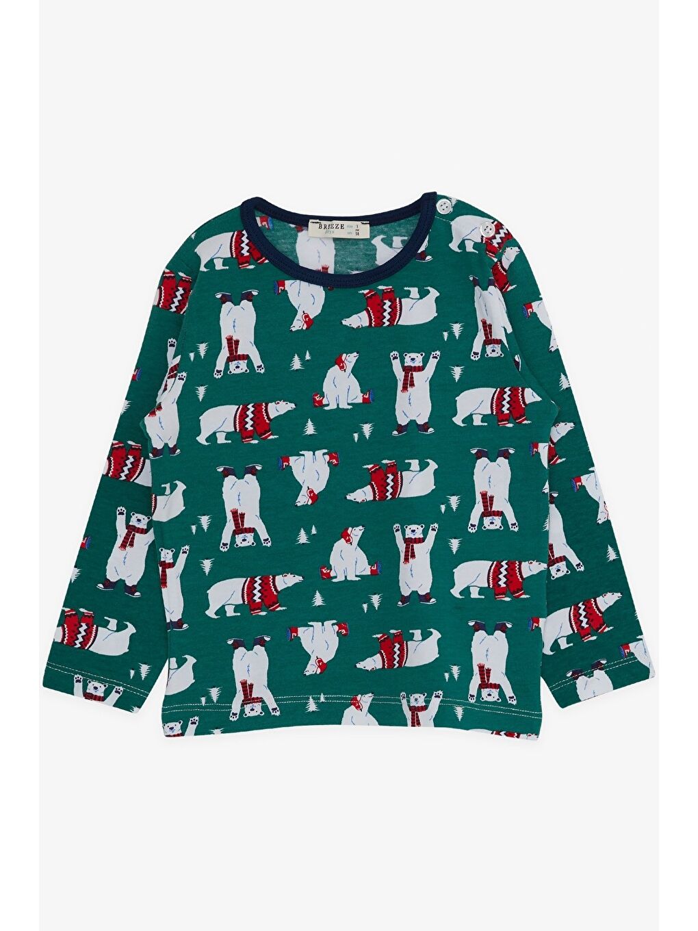 Erkek Bebek Pijama Takımı Sevimli Kutup Ayısı Desenli Yeşil (9 Ay)-2