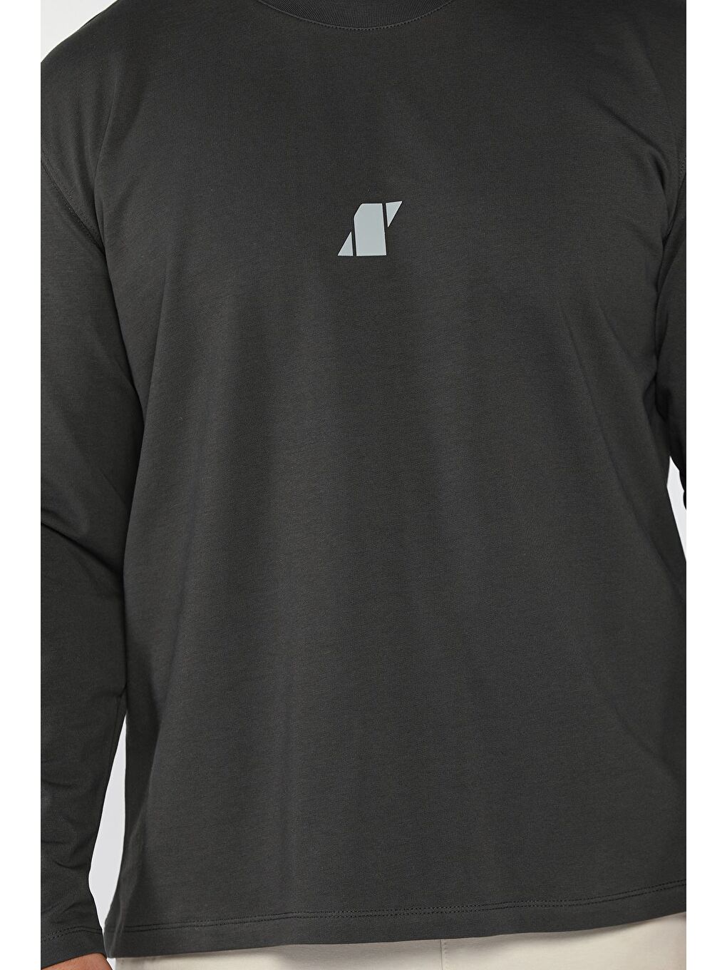 Gri Erkek Bisiklet Yaka Baskılı Sweatshirt-3