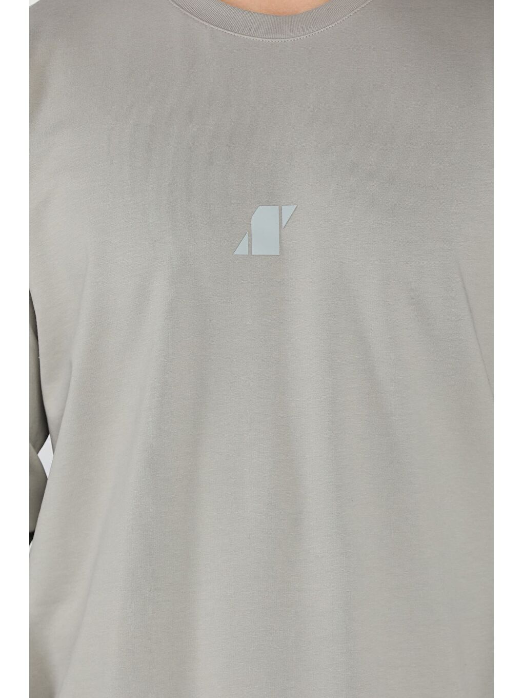 Gri Erkek Bisiklet Yaka Baskılı Sweatshirt-3