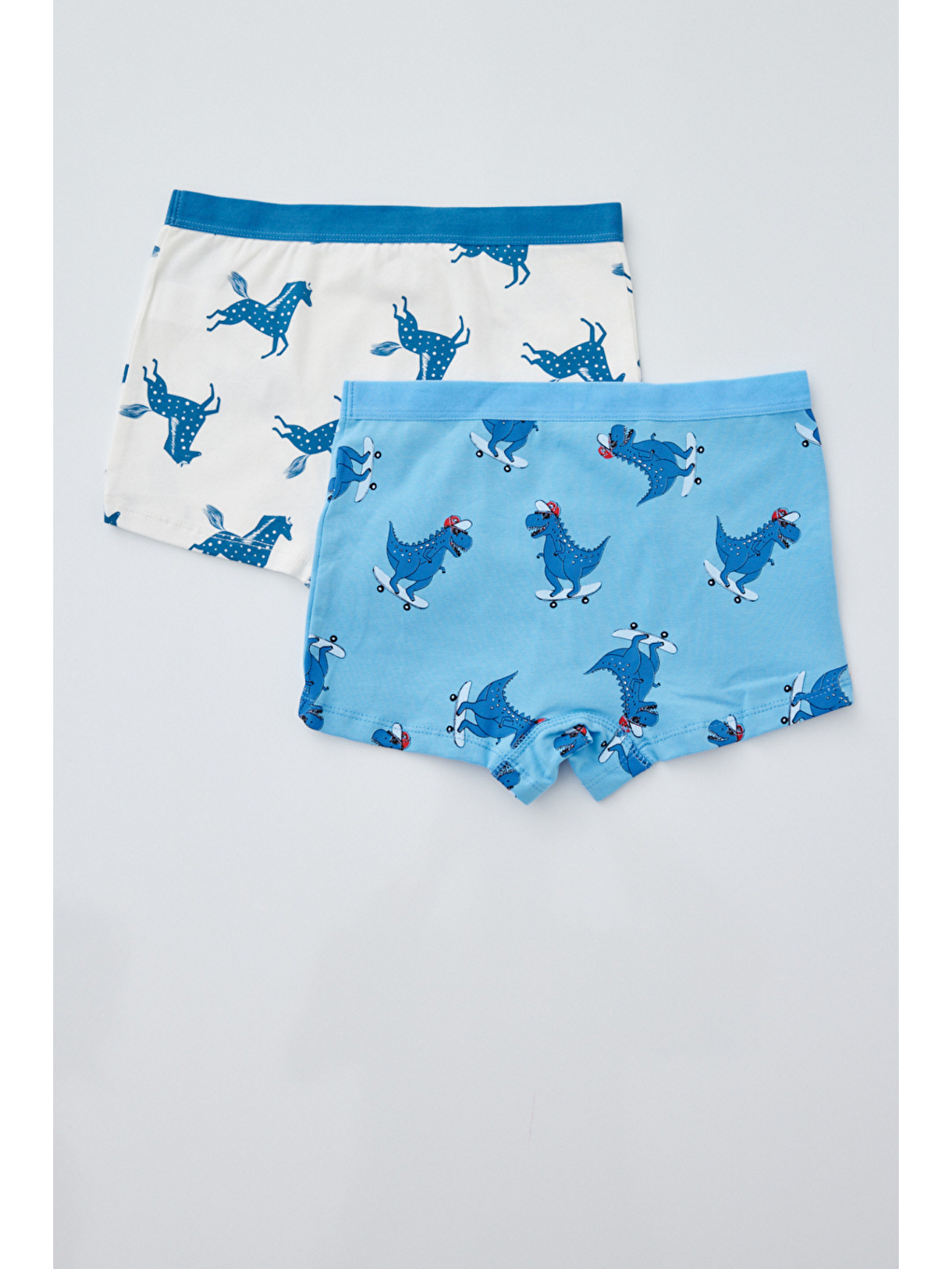 2'Li Paket Dino Erkek Çocuk Boxer Mavi/Ekru-2
