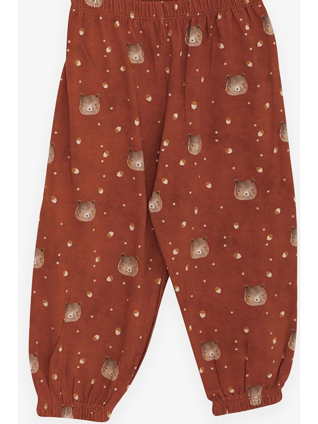 Erkek Bebek Pijama Takımı Ayıcık Desenli Kahverengi (9 Ay)-2