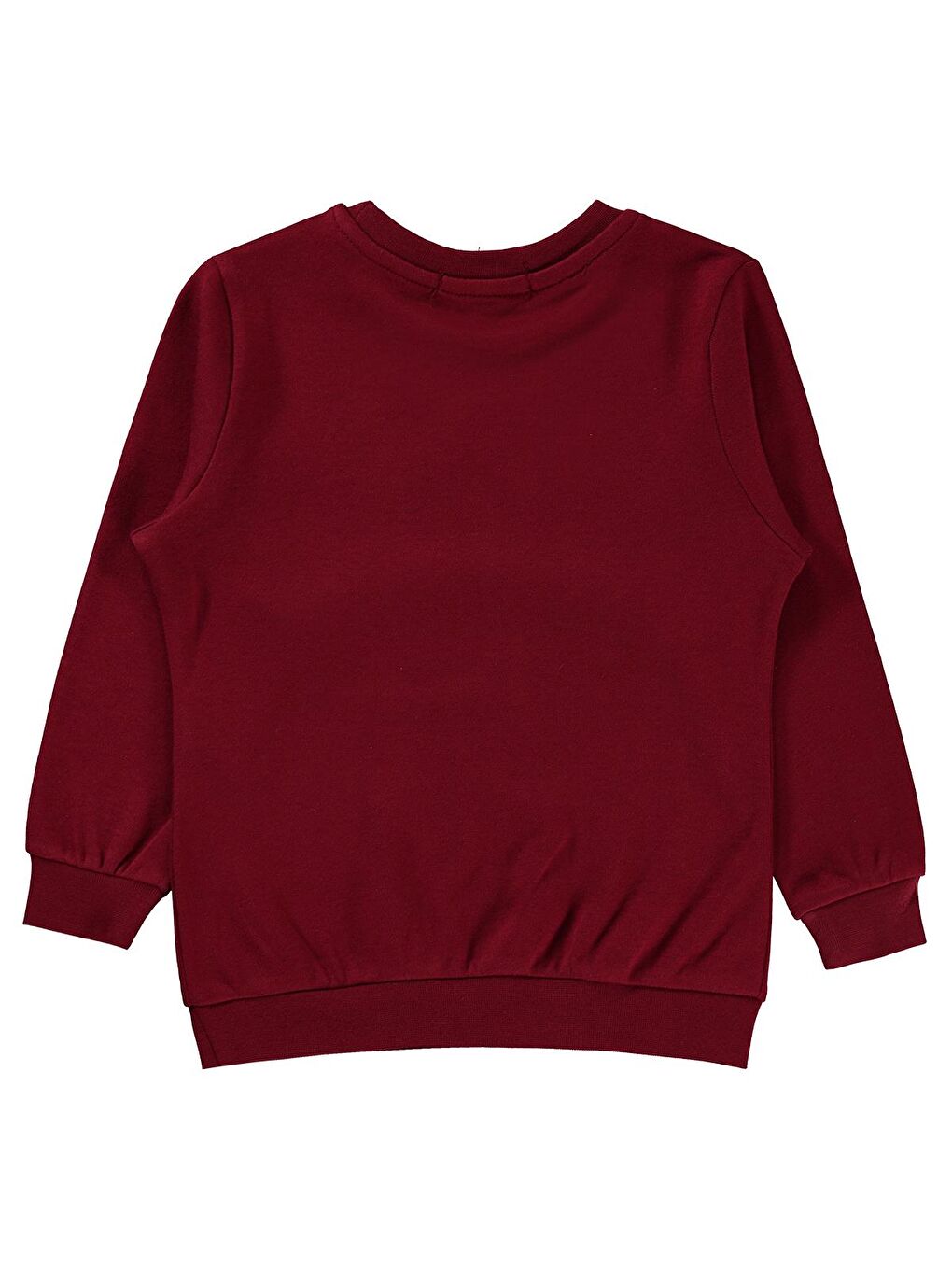 Boys Erkek Çocuk Sweatshirt 2-5 Yaş Bordo-1