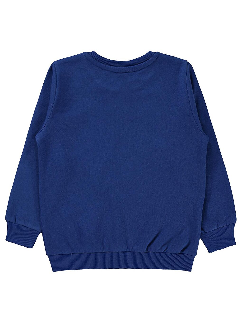 Civil Saks Tazmania Canavarı Erkek Çocuk Sweatshirt 2-5 Yaş Saks Mavisi - 1