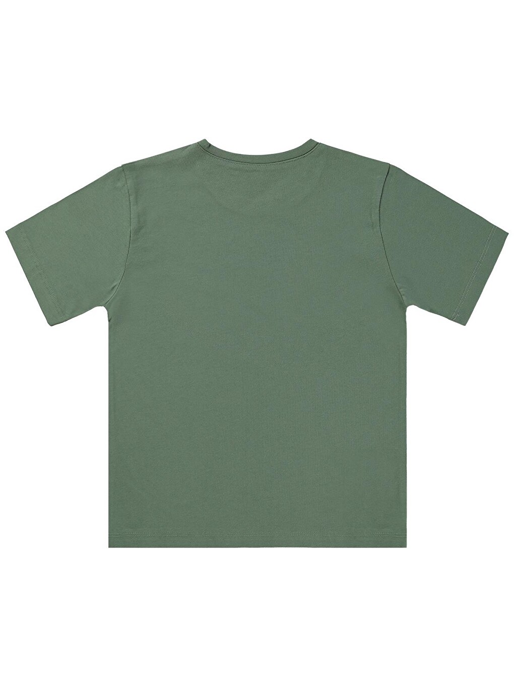 Boys Basic Surf Etiketli 10-13 Yaş Tişört - Haki-1