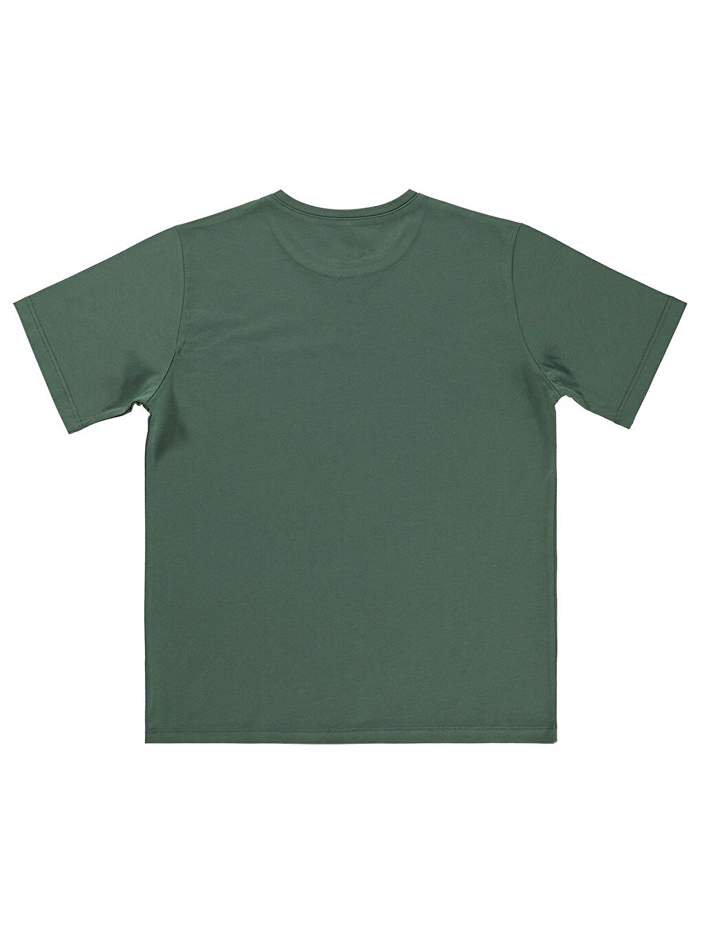 Boys Basic Surf Etiketli 10-13 Yaş Tişört - Haki-2