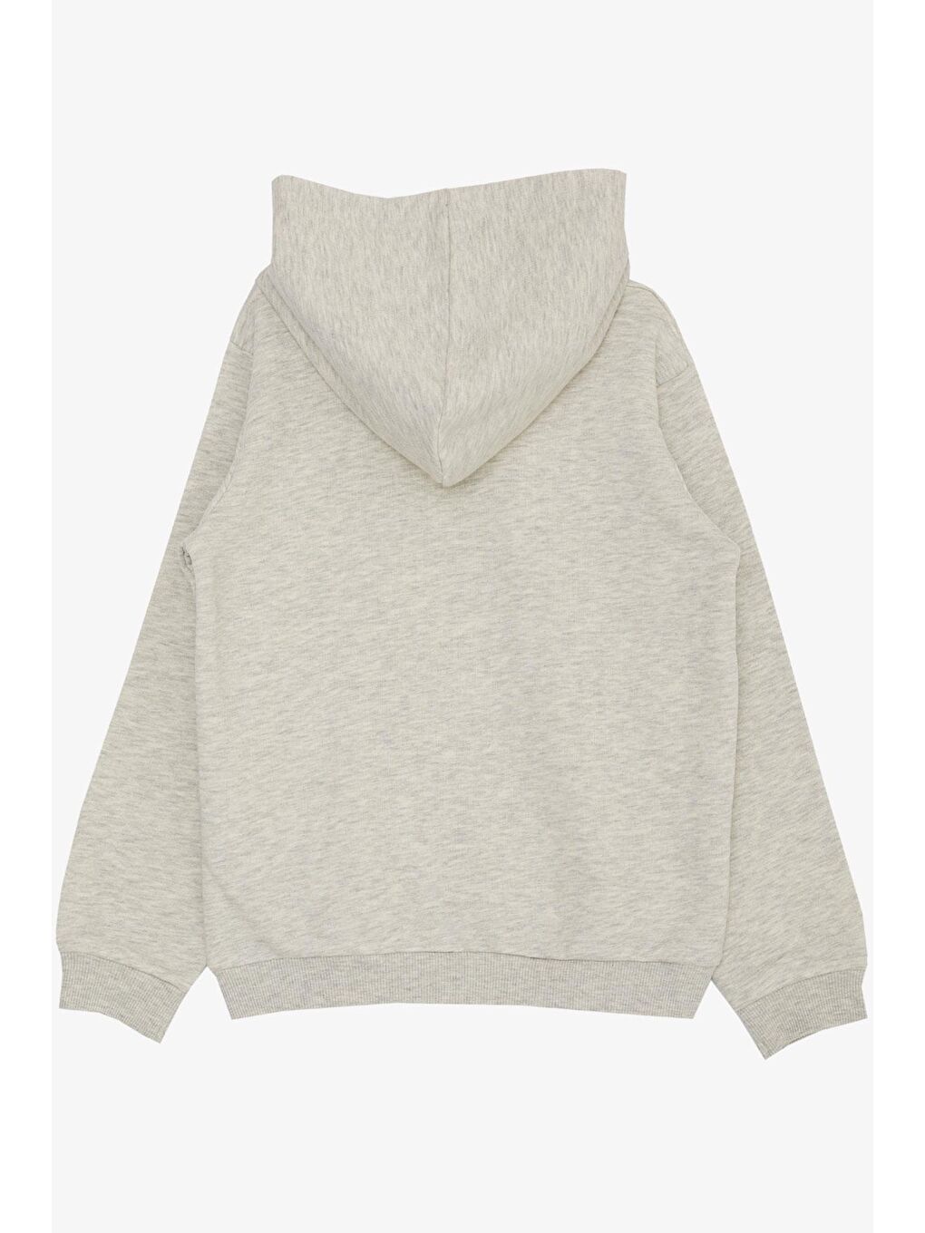 Kız Çocuk Sweatshirt Kelebek Baskılı Çiçekli Bej Melanj (7-10 Yaş)-1