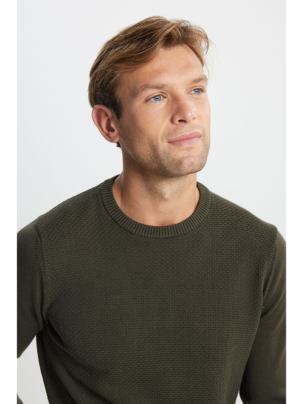 Erkek Haki Pamuklu Standart Fit Normal Kesim Bisiklet Yaka Jakarlı Triko Kazak-3