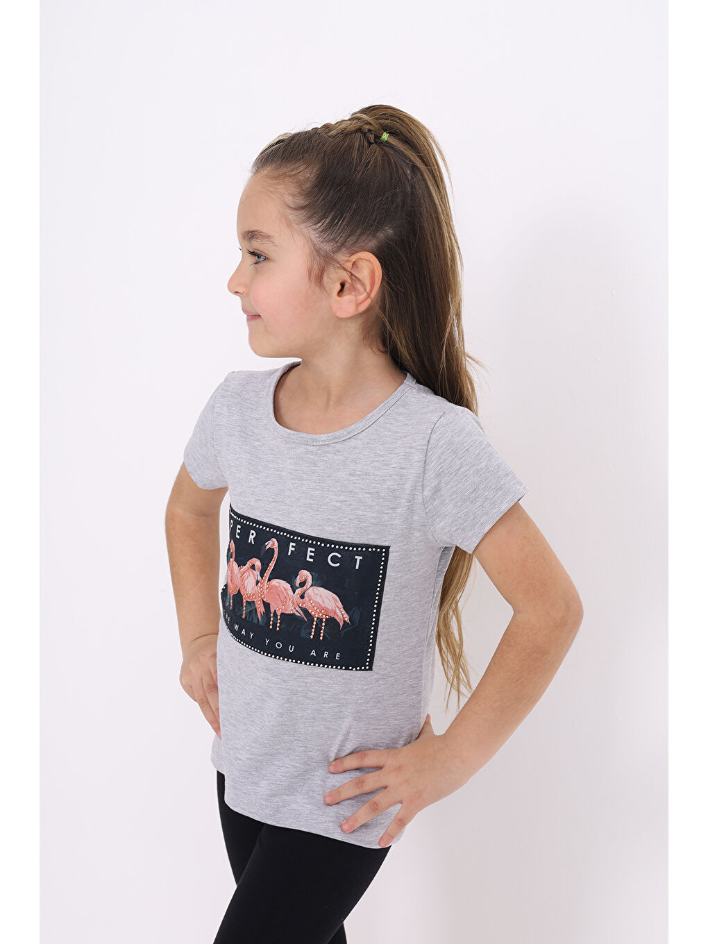 Gri Kız Çocuk Flamingo Baskılı Tişört-1