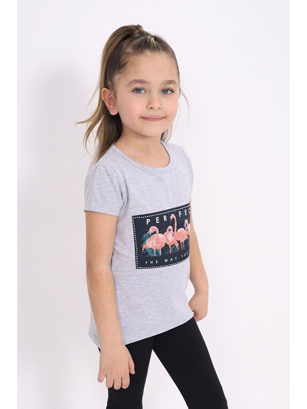 Gri Kız Çocuk Flamingo Baskılı Tişört-2