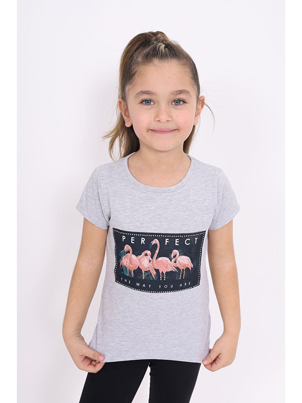 Gri Kız Çocuk Flamingo Baskılı Tişört-4