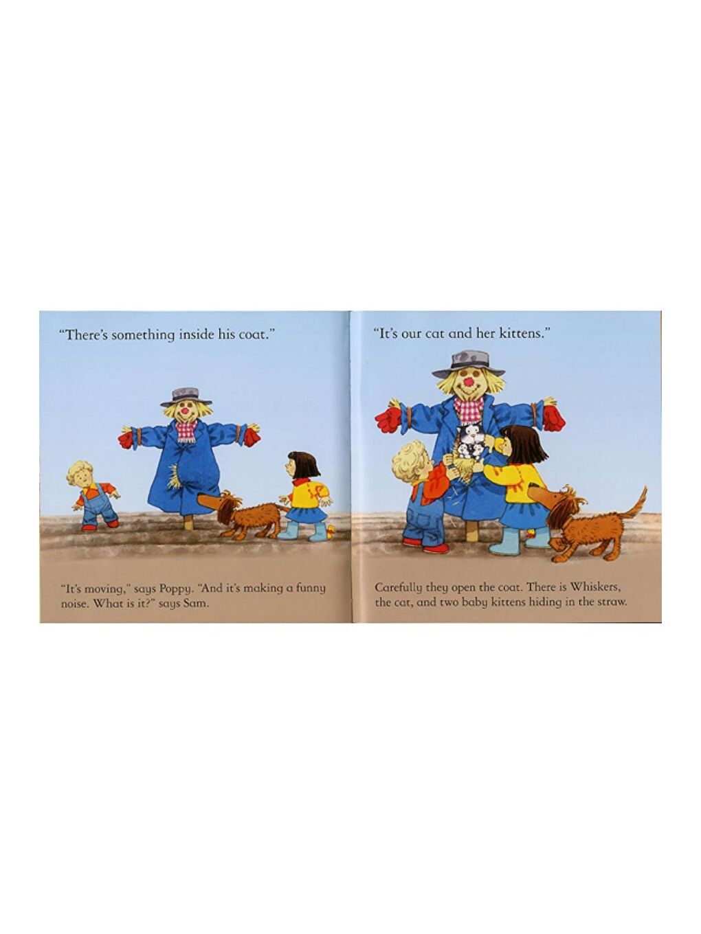 The Usborne Beyaz-Renklibaskı The Usborn FYT Scarecrows Secret - 1