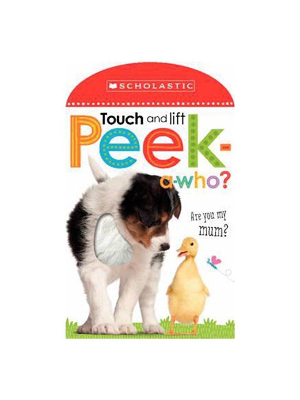 Scholastic Renksiz Early Learners: Touch and Lift, Peek-a-Who?