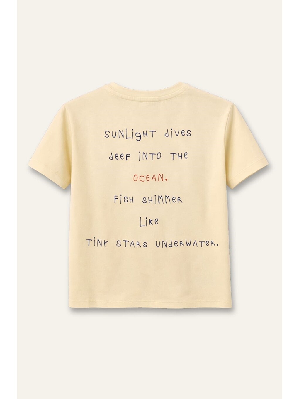 Ekru Erkek Çocuk Tshirt - Krem-4
