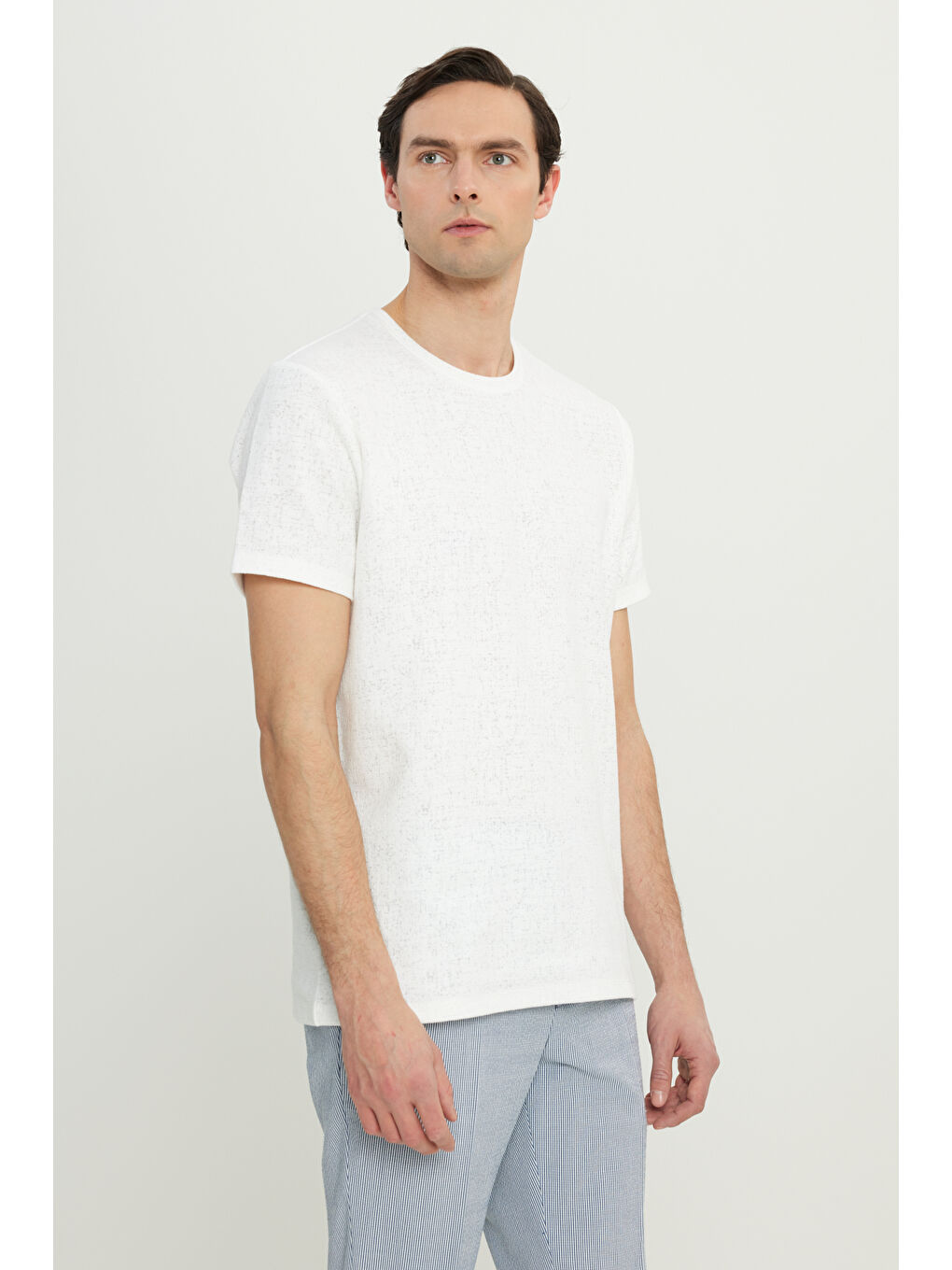 Erkek Ekru Pamuklu Slim Fit Dar Kesim Bisiklet Yaka Jakarlı Esnek Tişört-2