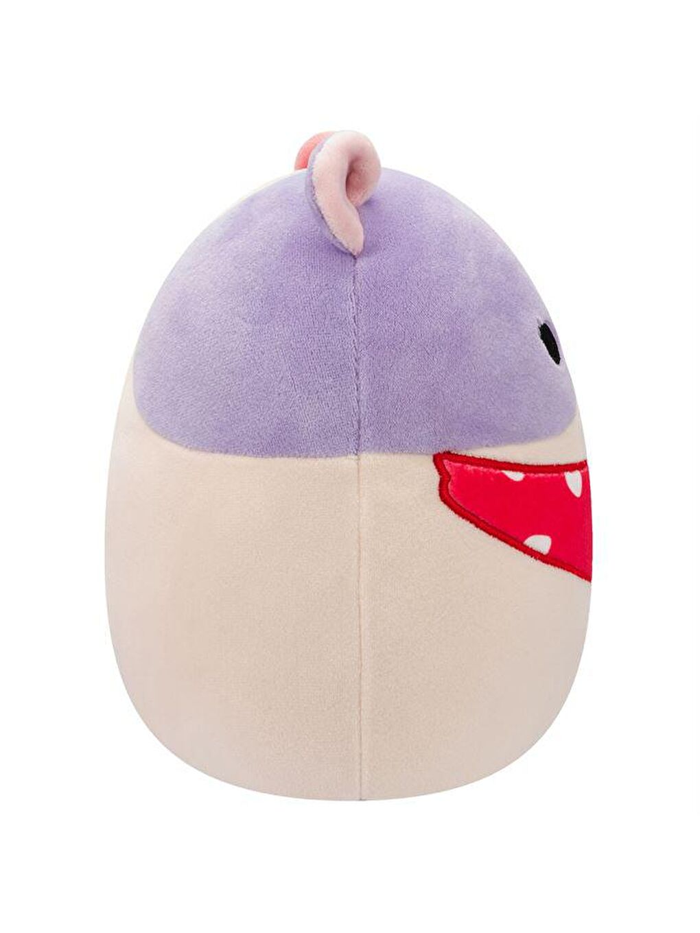 Squishmallows Karışık Ginepig Niven 20cm SQVA00830 - 2