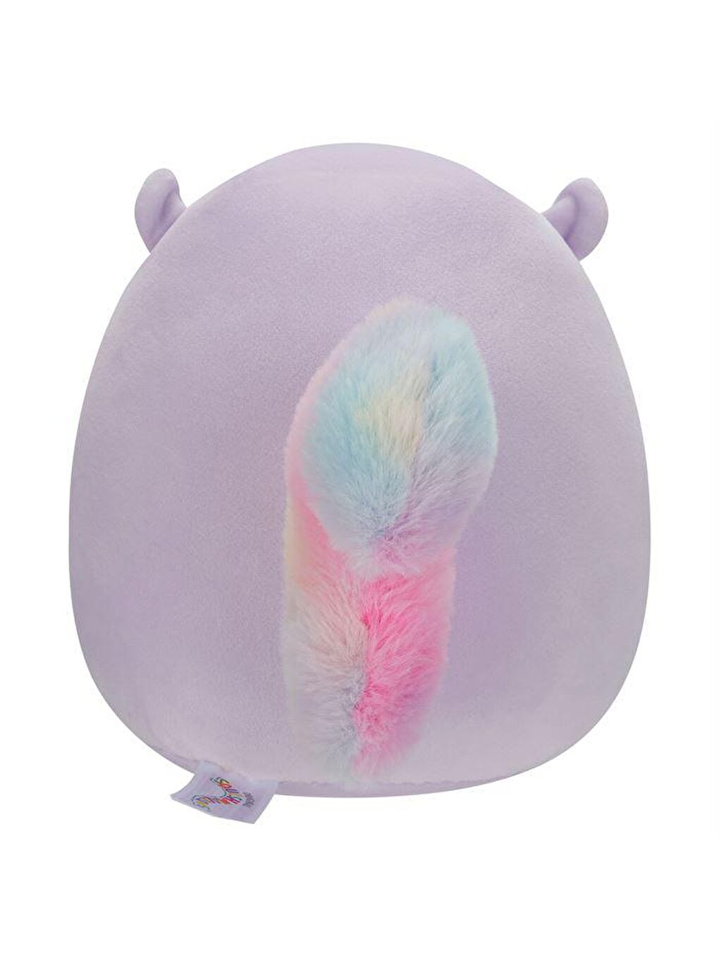 Squishmallows Karışık Sincap Sydnee 20cm SQER00828 - 2