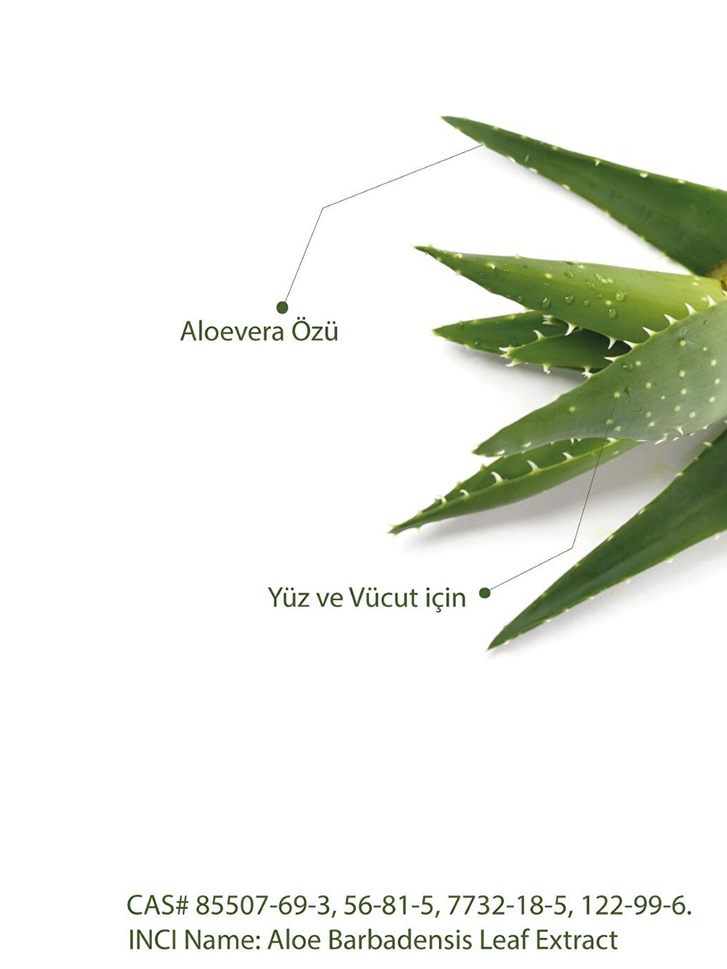 Seay Açık Yeşil Doğal Kabak Lifli Aloe Vera Sabunu 130 gr - 1