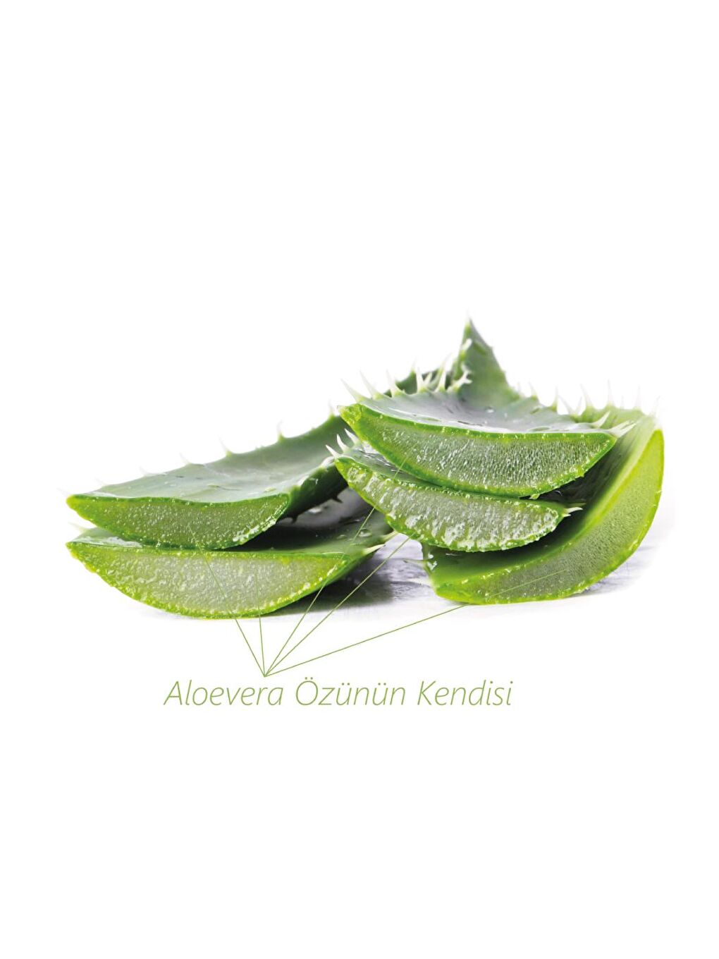 Seay Açık Yeşil Doğal Kabak Lifli Aloe Vera Sabunu 130 gr - 2