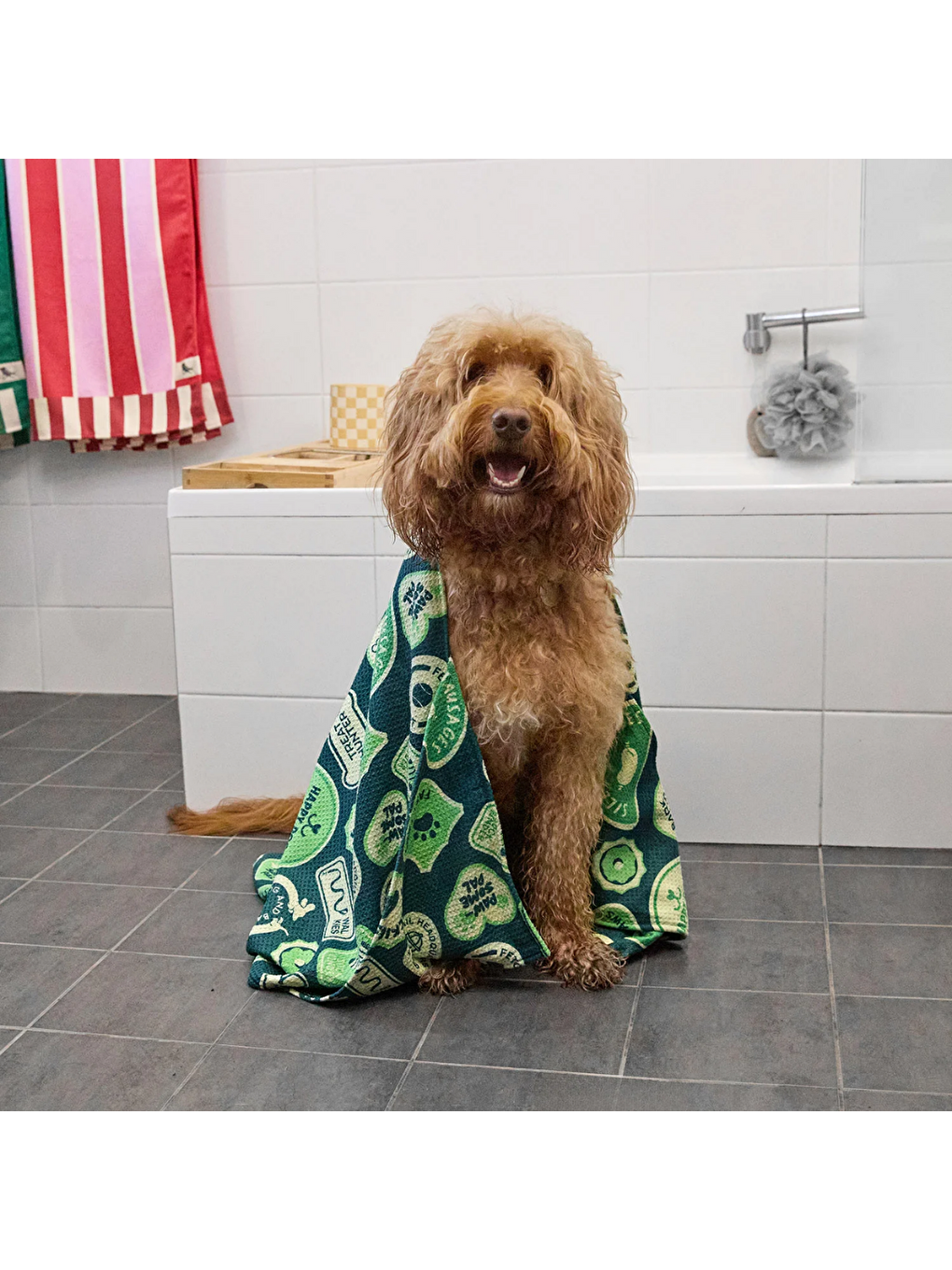 Dock And Bay Köpek Havlusu Design M Dog And Bay Club-8
