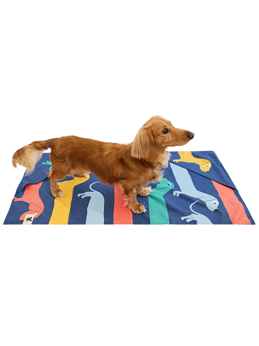 Dock And Bay Köpek Havlusu Design M Go Long-4