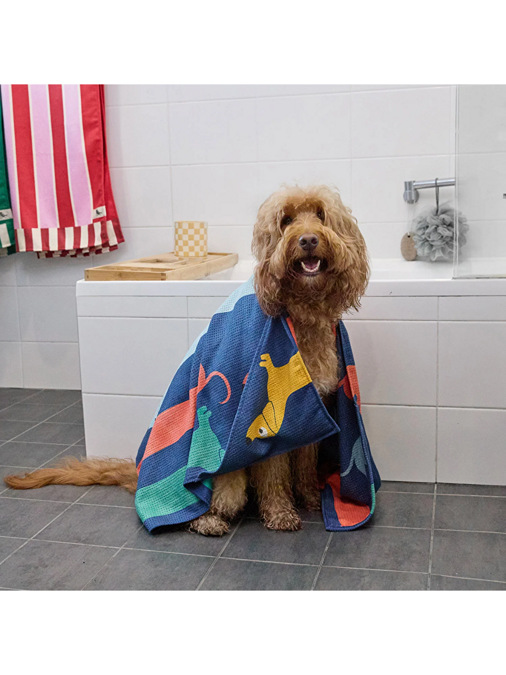 Dock And Bay Köpek Havlusu Design M Go Long-8