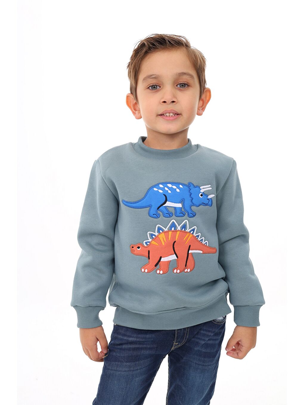 Toontoykids Mavi Erkek Çocuk Nakışlı Sweatshirt