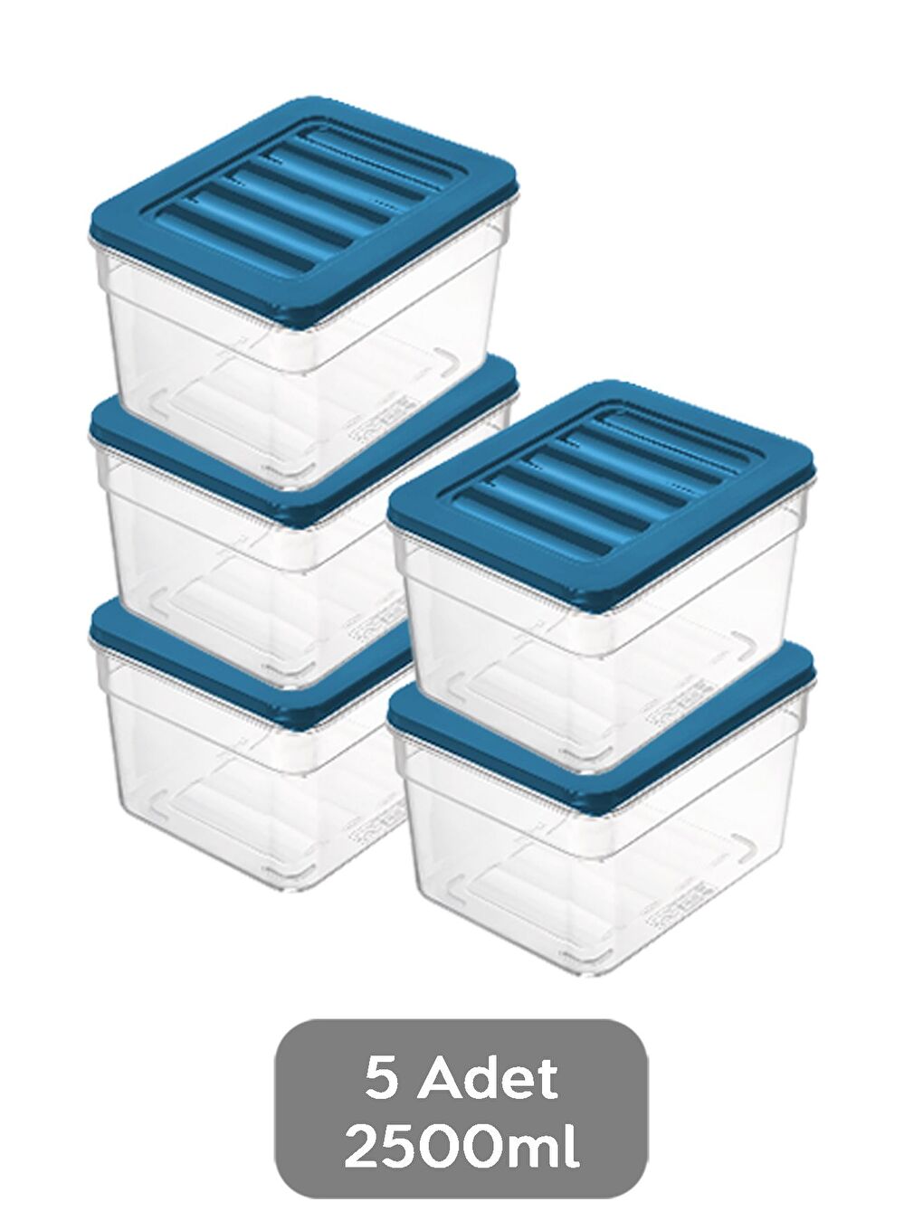 5'li Derin Buzdolabı Organizer Set 1100 ml Mavi-1