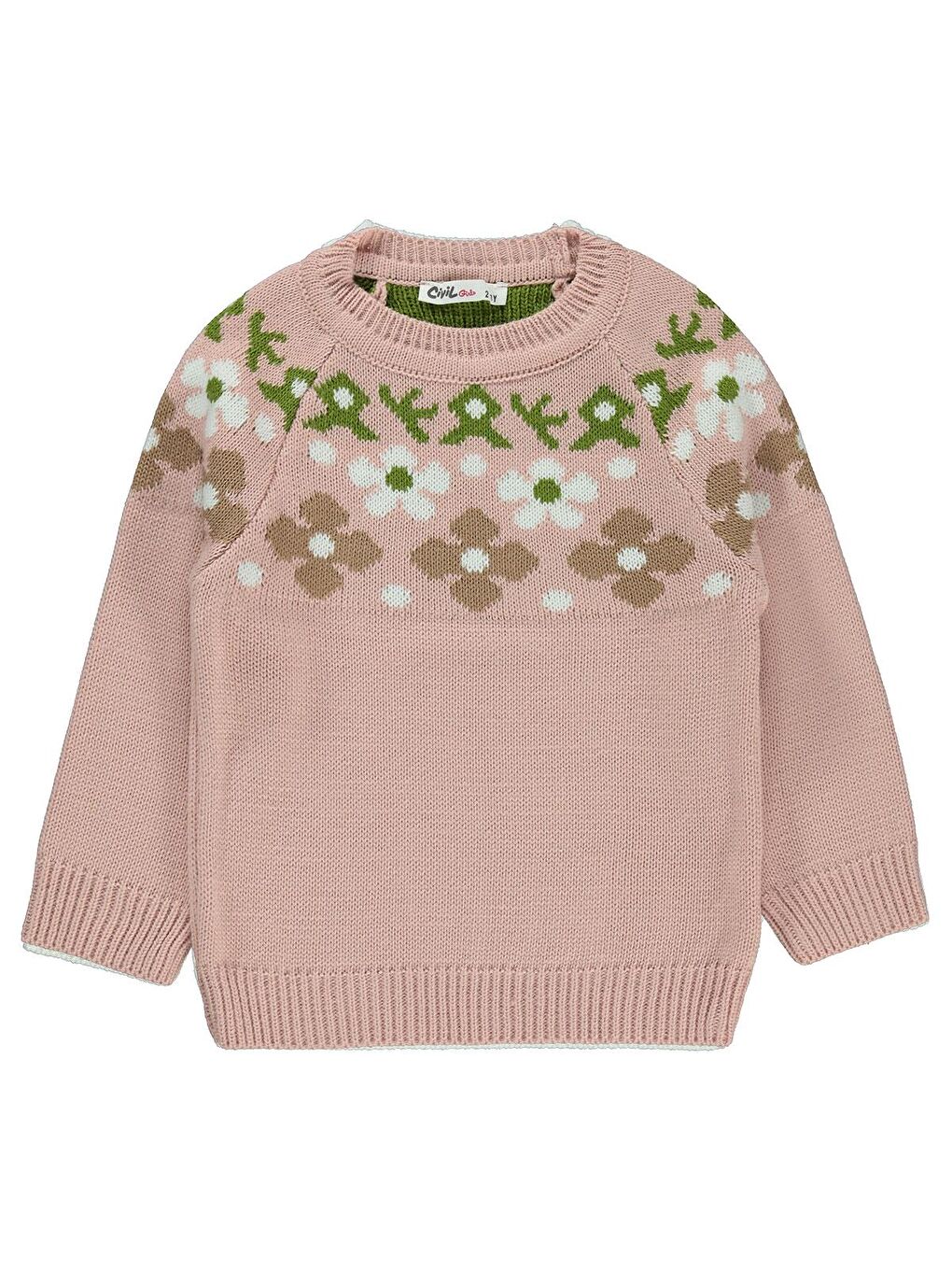 Pembe Girls Kız Çocuk Roba Papatya Desenli 2-5 Yaş Kazak - Pudra