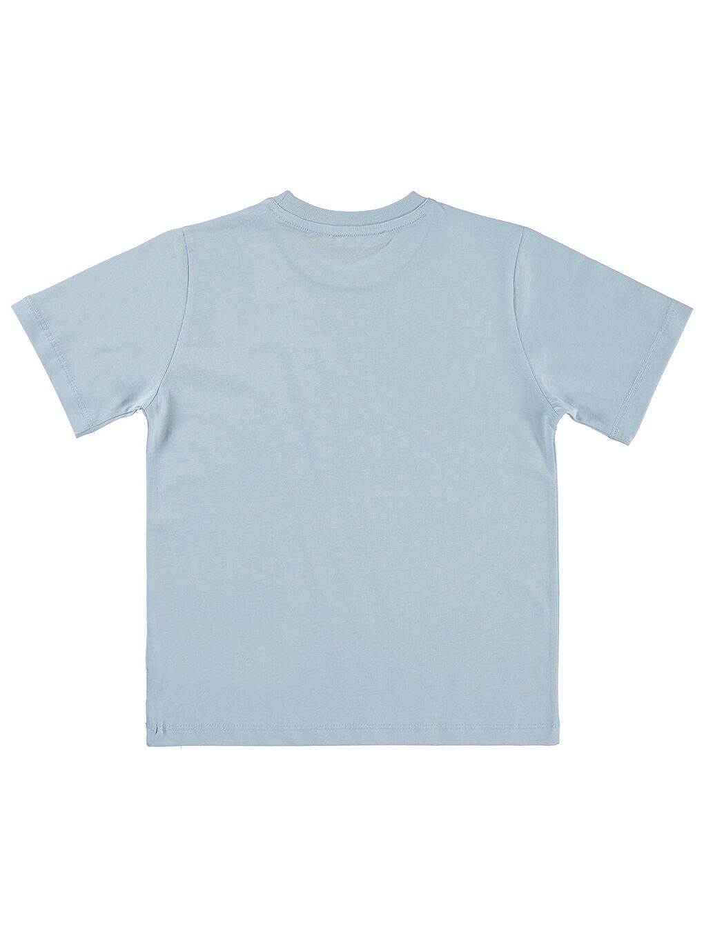 Boys Basic Surf Etiketli 6-9 Yaş Tişört - Mavi-1